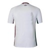 Original Fußballtrikot Fluminense FC Auswärtstrikot 2025-26 Für Herren